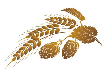 Hops and wheat clipart