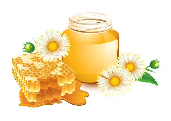 Мед и соты — стоковый вектор