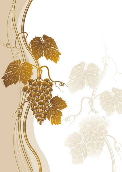 Contexte du vin — Image vectorielle