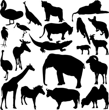 Wild animal clipart