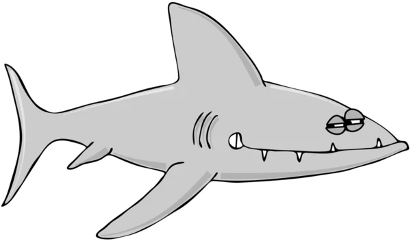 Olycksbådande haj — Stockfoto