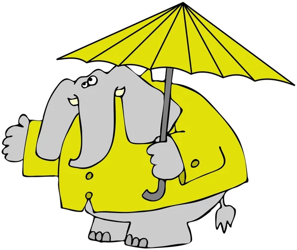 Elefant i en regnrock — Stockfoto