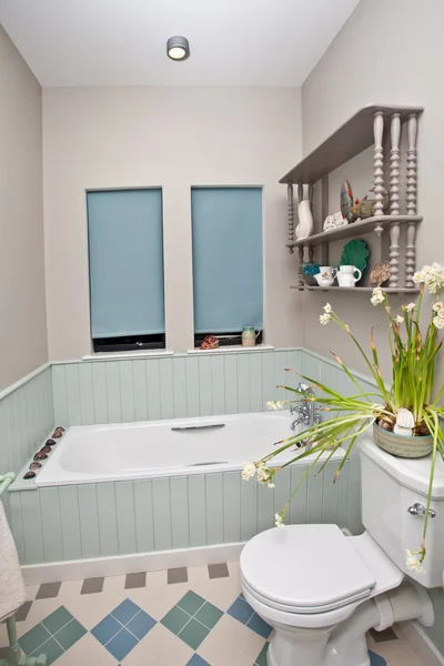Vetrina degli interni del bagno — Foto Stock