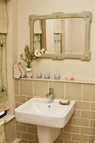 Vetrina degli interni del bagno — Foto Stock