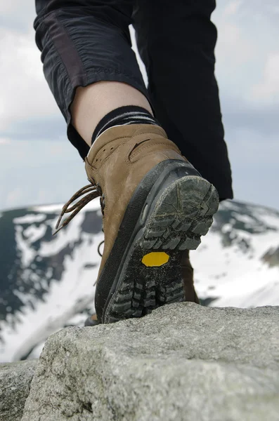 stock image Mountain boots