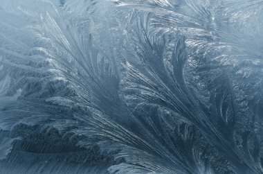 Ice flowers clipart