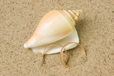 Seashell with wedding rings clipart