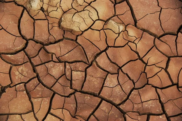 stock image Cracked earth