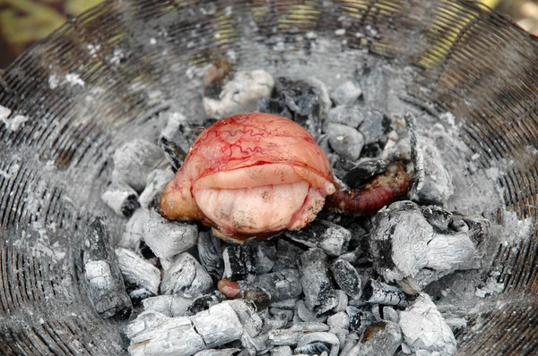 Cozinhar testículo de cabra em uma fogueira — Fotografia de Stock