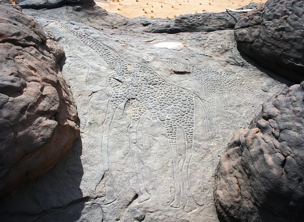 Visão geral horizontal das girafas esculpidas em rocha de Dabous — Fotografia de Stock