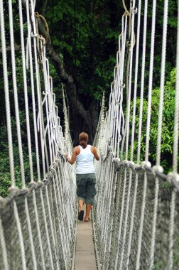 kadın kakum treetop yürüyüş