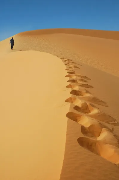 Nomad walking up a sand dune in the Sahara — Stock Photo, Image