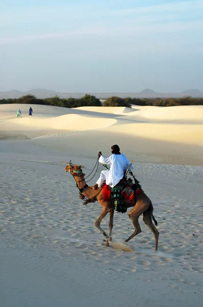 Nomade chevauchant un chameau dans le désert — Photo