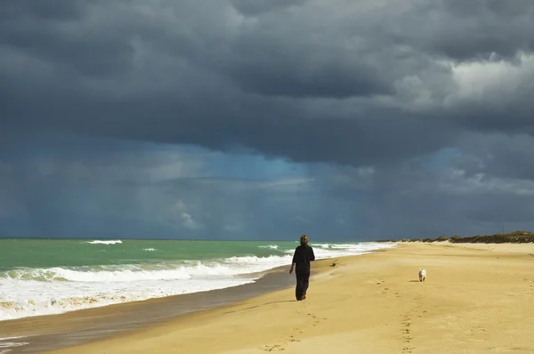 stock image Woman and dog walking along beach