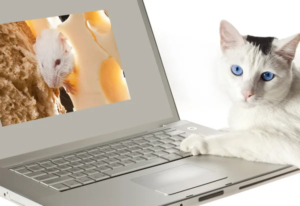 kukun tr computadora