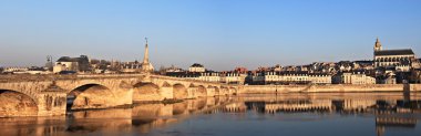 Panoramic view of Blois clipart
