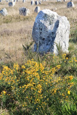 Carnac