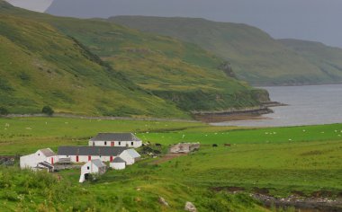 Isle of skye'nın beyaz çiftlikte