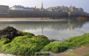 St Malo from the beach clipart