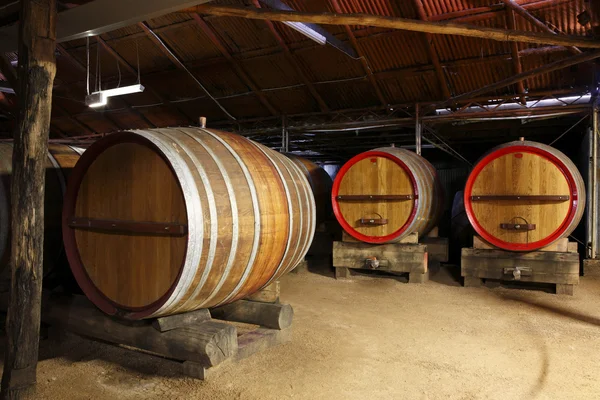 stock image Oak Wine Barrels