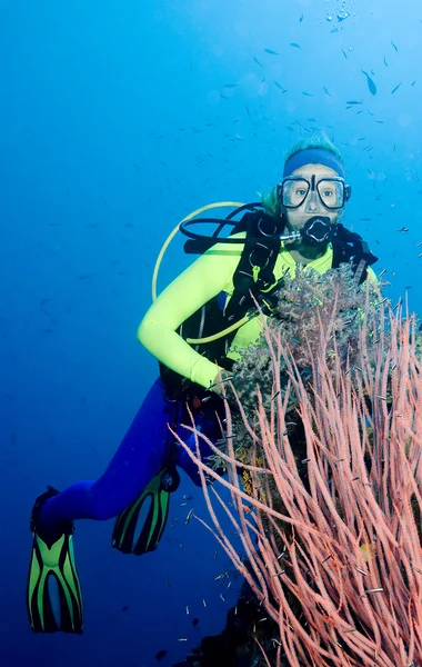 Diver och havet piskor — Stockfoto