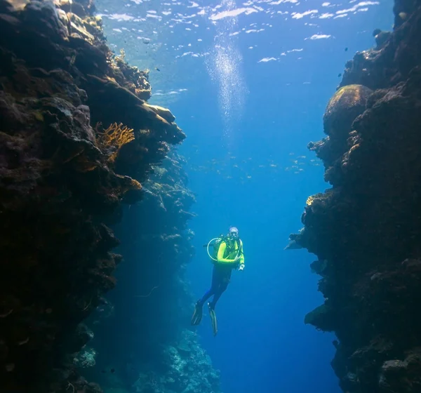 Potápěč pod vodou — Stock fotografie