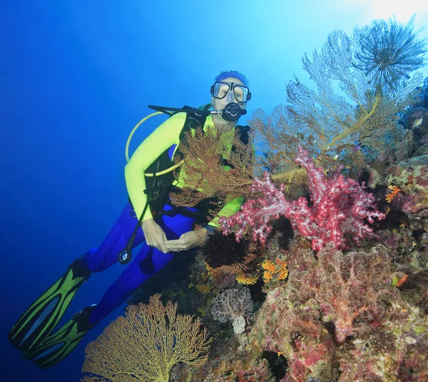 Diver Underwater — Stock Photo, Image