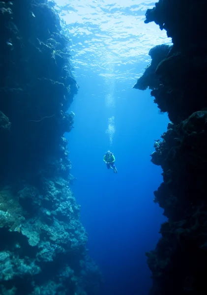 Diver swimming between underwater cliffs