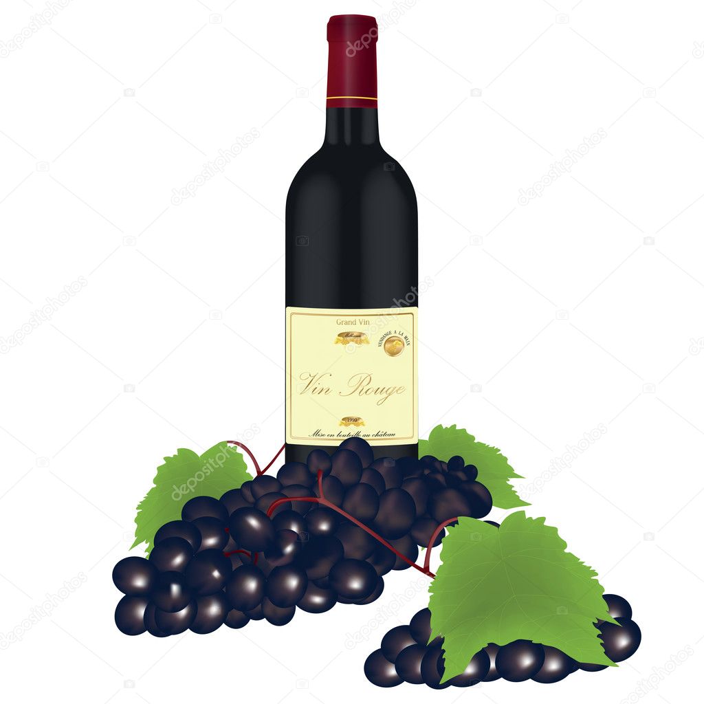 BOUTEILLE DE VIN ET RAISIN — Stock Vector © Graphistecs #8963252