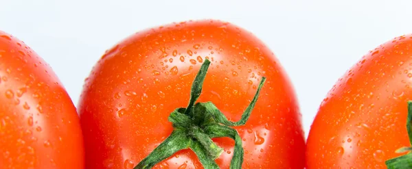 行の赤の完熟トマト — ストック写真