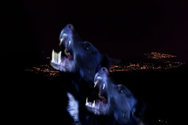 Two black dogs that howl clipart