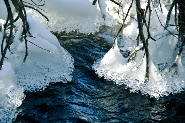 Esculturas de gelo natural em galhos de árvores — Fotografia de Stock