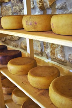 Nermin kabukları üzerinde