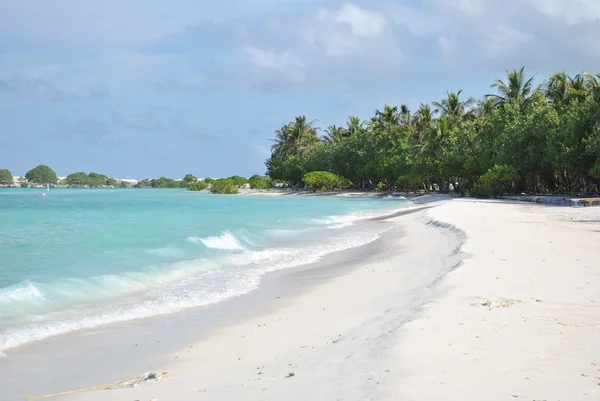 Stock image Maldives