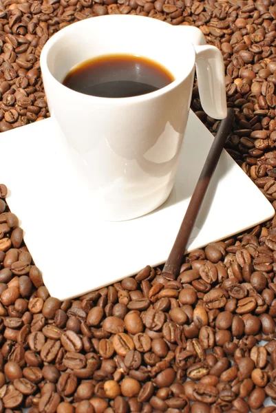 stock image Coffee