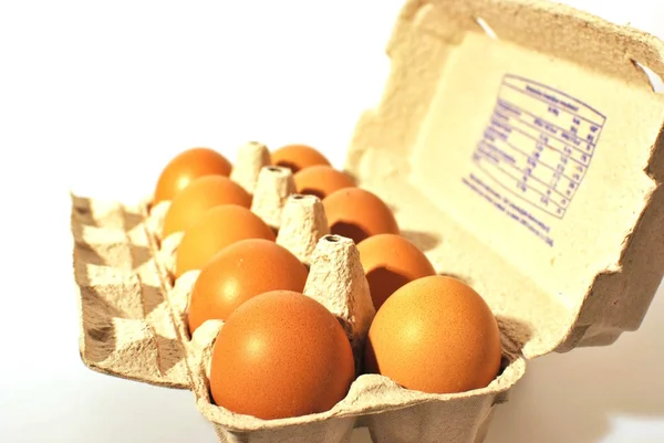 Prodotti a base di uova Immagine Stock
