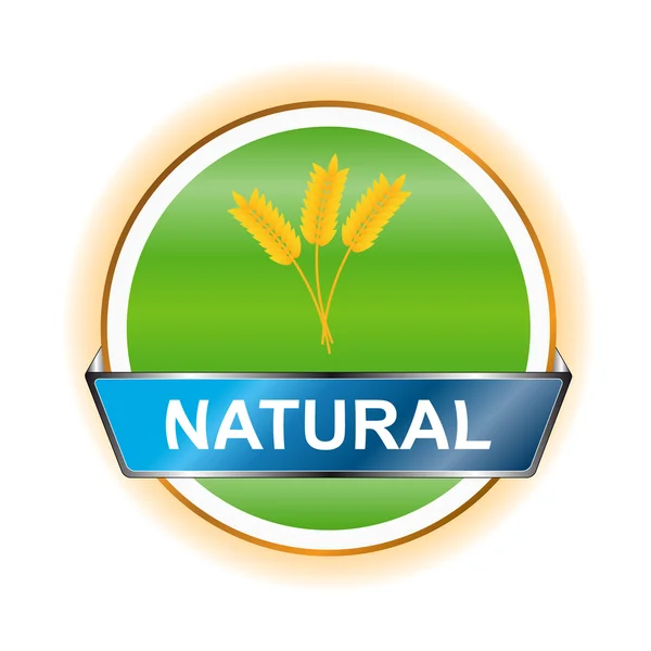 Natural icon — Stock Vector