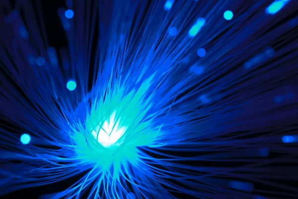 Blue optical fibers — Stock Photo, Image