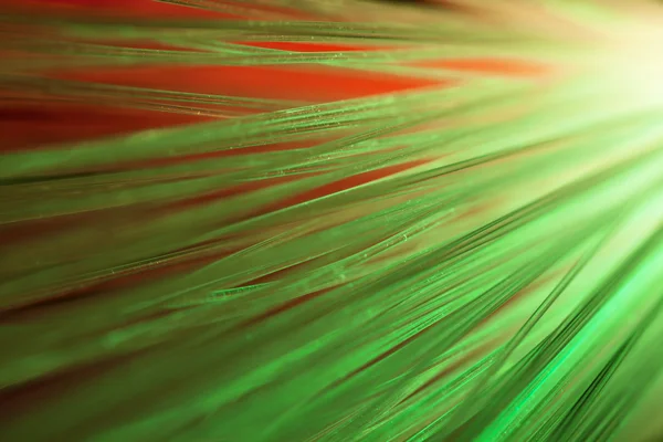 绿色的光学纤维 — 图库照片