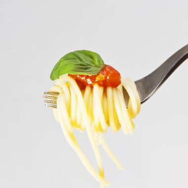 Spaghetti with tomato and basil on fork