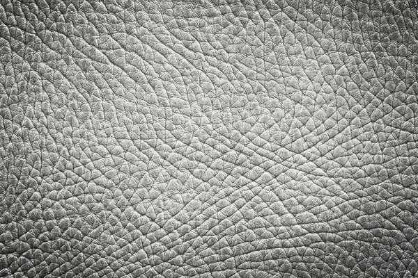 Grey leather texture — Stock Photo, Image