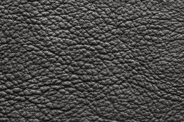 Black Leather texture — Stock Photo, Image