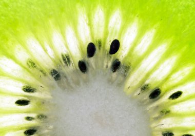 Kiwi slice clipart