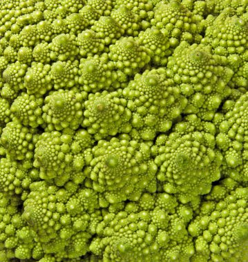 Romanesco