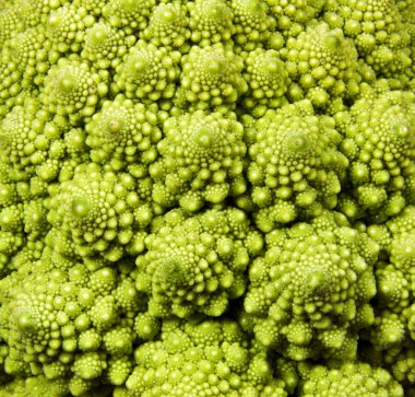 Romanesco