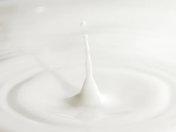 ミルク ドロップ背景 — ストック写真