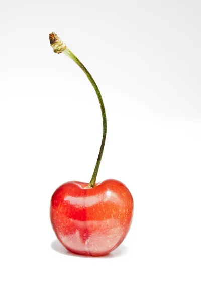Dolce ciliegia — Foto Stock