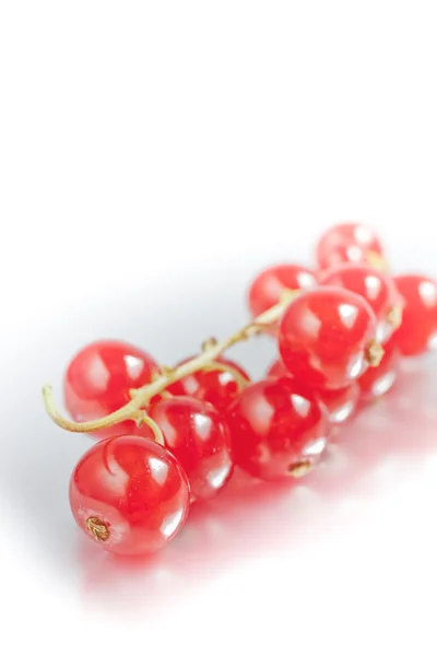 Stock image Red currants