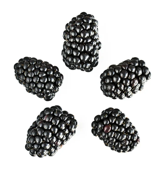 stock image Five blackberry fruits