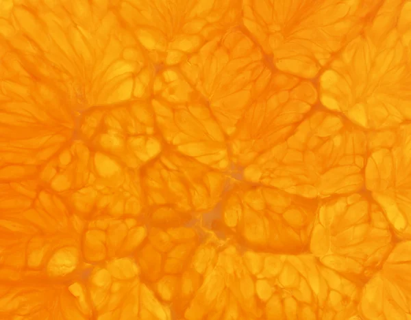 新鮮なオレンジのスライスをクローズ アップ — ストック写真